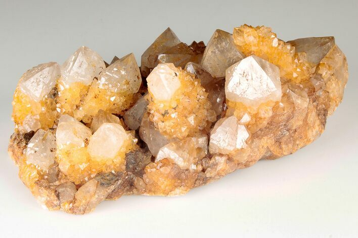 Sunshine Cactus Quartz Crystal Cluster - South Africa #191801